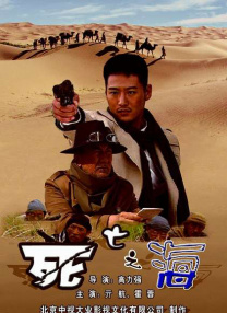 99久久国内精品成人免费