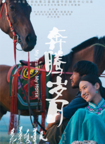 国产精品二区视频