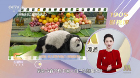 jiucao在线观看精品