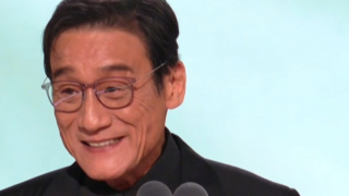 青春岁月